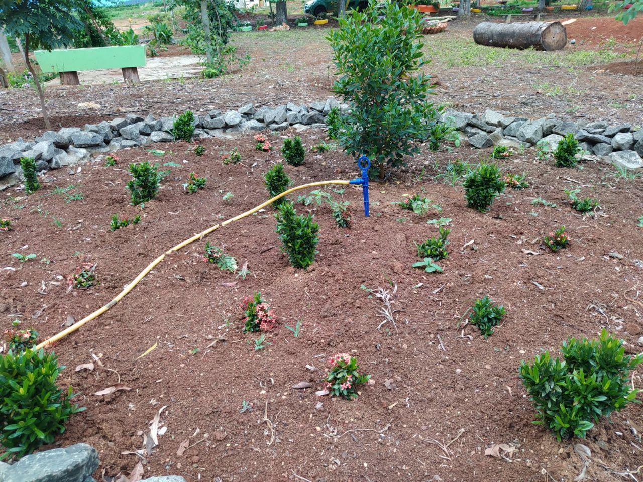 Serginho e Chinho Serviços de Prestação de Jardinagem em Geral